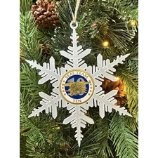 CHALLENGE COIN-Seal Team Ten (10) US NAVY NAVAL SPECIAL WARFARE DEVELOPMENT