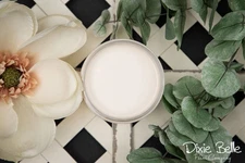 Dixie Belle Chalk Paint Drop Cloth - FREE SHIPPING!