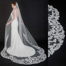 Bride Delicate Hand-Embroidered Rose Lace Veil Comb Cathedral Length Wedding