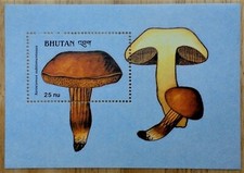 VINTAGE CLASSICS - Bhutan 1989 - Mushrooms, Yellow Bolete - Souvenir Sheet - MNH