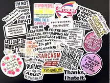 Sarcastic Stickers Vinyl Funny Sayings