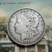  on The Hot Collector