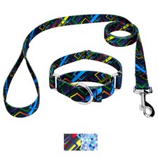 Country Brook Petz  Martingale Collar and Leash - Abstract Collection