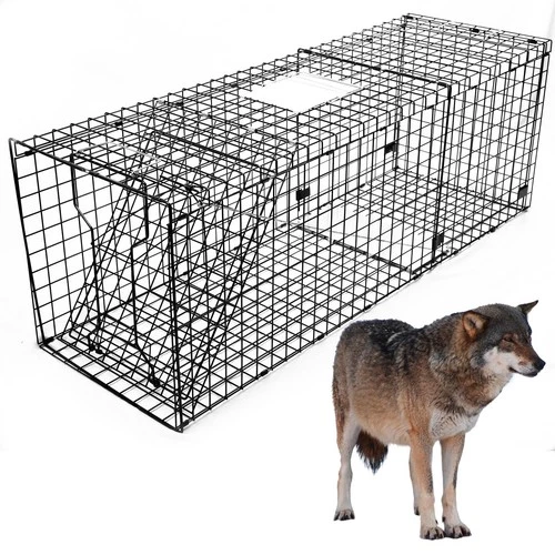 Heavy Duty Live Trap 59x20x22 Inch Extra Large Steel Collapsible with Humane ...