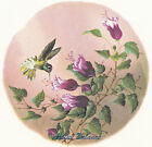 Ceramic Decals Hummingbird Pink Fuschia Floral Humming Bird
