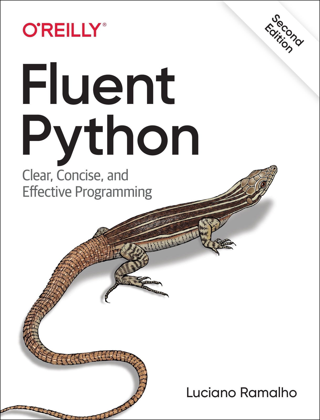 Thumbnail - Luciano Ramalho | Fluent Python | Taschenbuch | Englisch (2022) |
