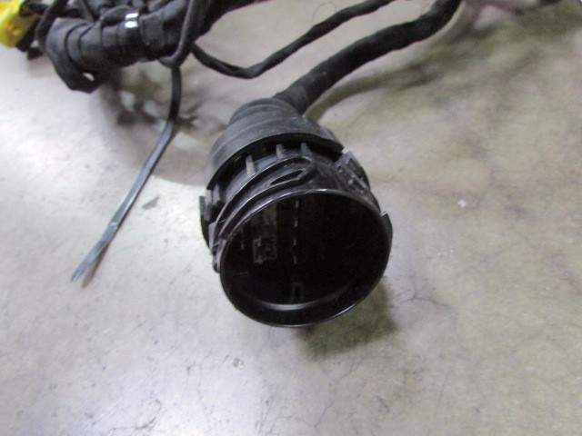 Ferrari California, RH, Right Door Wire Harness, Used, P/N 254949