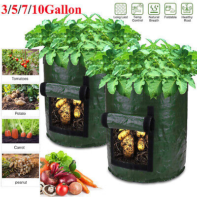 3 5 10 gallon Potato Grow Bag Tomato Planting Bag PE Fabric Root Pot Veg Garden 