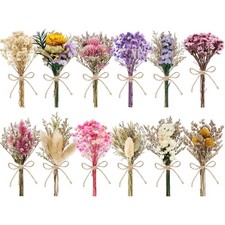 12/24 PCS Charming Dried Flowers Bouquet for Vase Various Dried Wildflowers w...