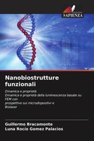 Guillermo Bracamonte (U. A.) | Nanobiostrutture Funzionali | Taschenbuch (2023)