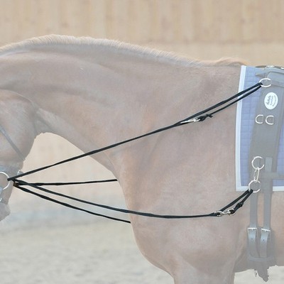 Kavalkade Phillipszügel ''Easy'' Zügel Hilfzügel Longierzügel Pony Warmblut