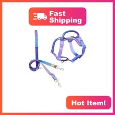 DF Martingale Dog Harness and Leash Set Rainbow