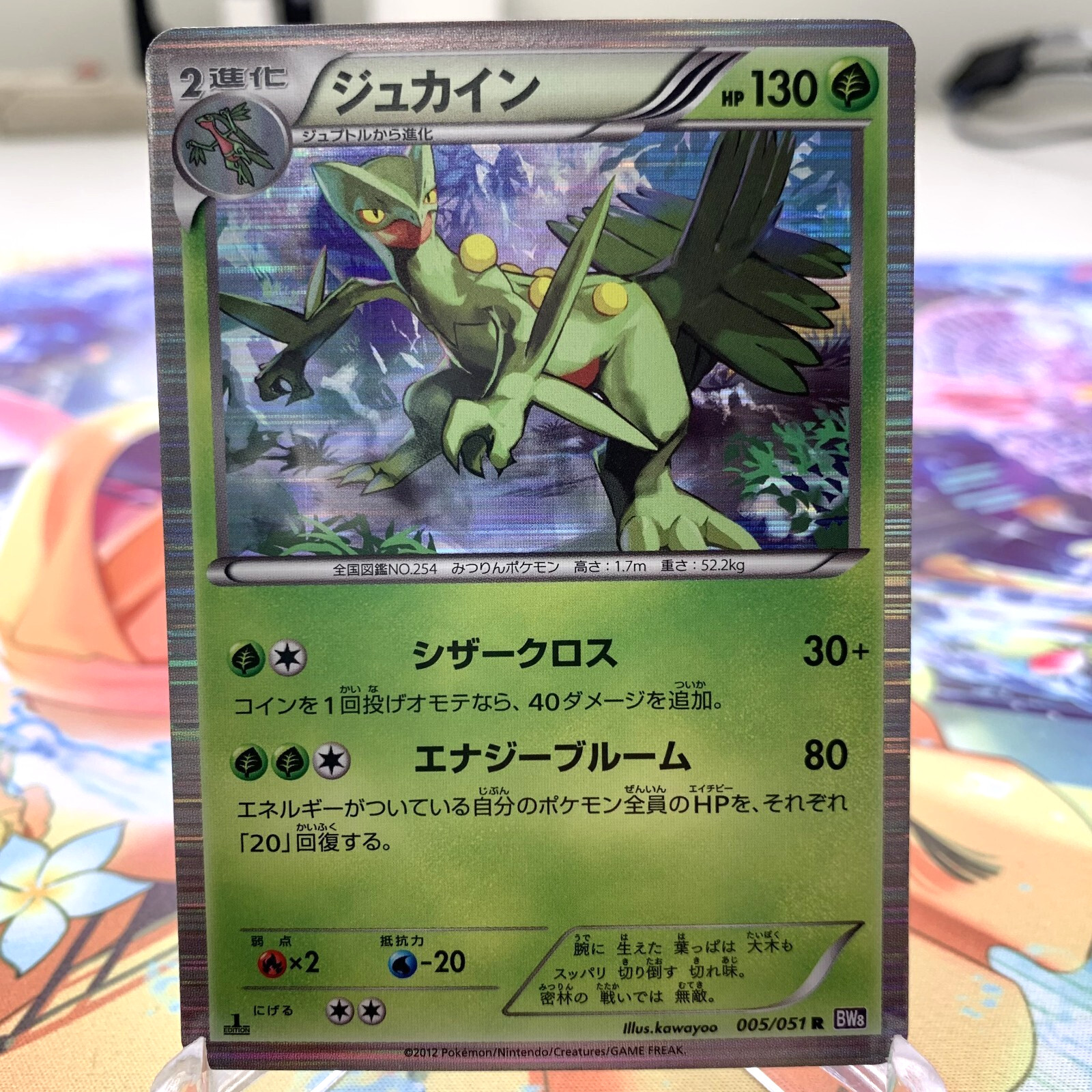 Sceptile 005/051 R Holo 1st Edition BW8 Japanese Pokemon Card ~ MP