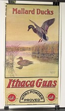 Vint Louis Agassiz Fuertes Ithaca Guns Nitro Powder Mallard Ducks Poster Reprint