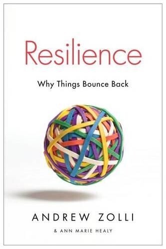 Andrew Zolli Ann Marie Healy Resilience (Tascabile)