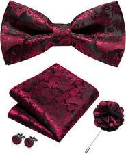 Paisley Pre-tied Bow Tie and Pocket Square Cufflinks Lapel Pin Sets for Men 4PCS