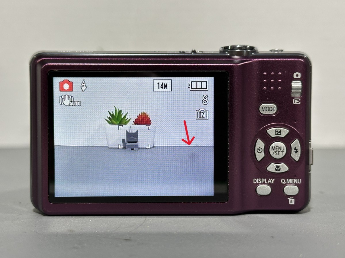 Panasonic Lumix DMC-FH20 14.1 MP 8x Optical Zoom Purple Compact