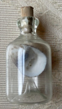 Sea Shell in a Bottle with Cork Stopper Clear Bottle Miniature Souvenir 1-7/8  