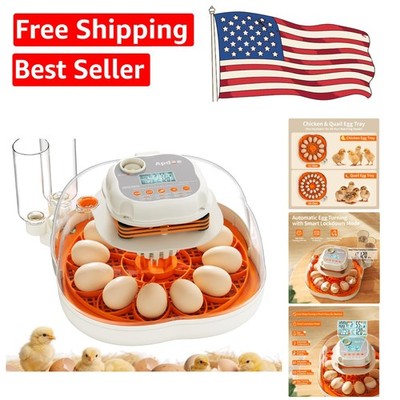 Advanced Egg Candler & Incubator: Automatic Turning for Optimal Hatching Success