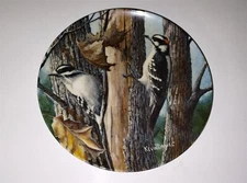 EDWIN M KNOWLES THE DOWNY WOODPECKER COLLECTORS PLATE