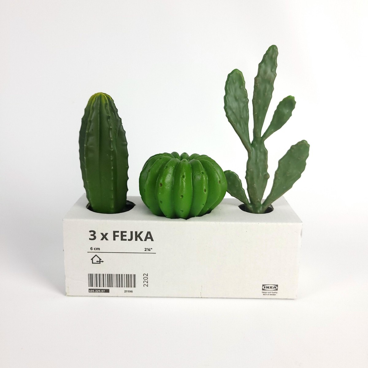 dracaenae Dracaena Elegance