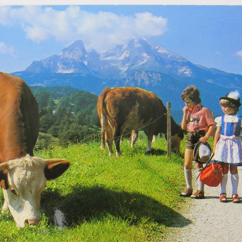 German Kids in the Mountain Range Post Card Vintage 1980's