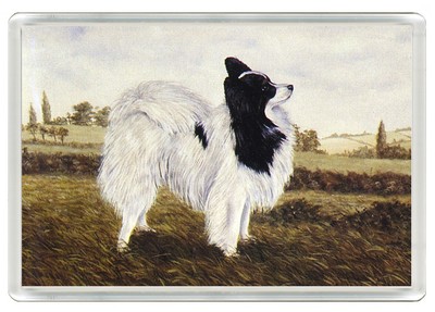 SCHMETTERLING HUNDE KUNSTDRUCK ACRYL NEUHEIT KÜHLSCHRANKMAGNET TOLLES GESCHENK