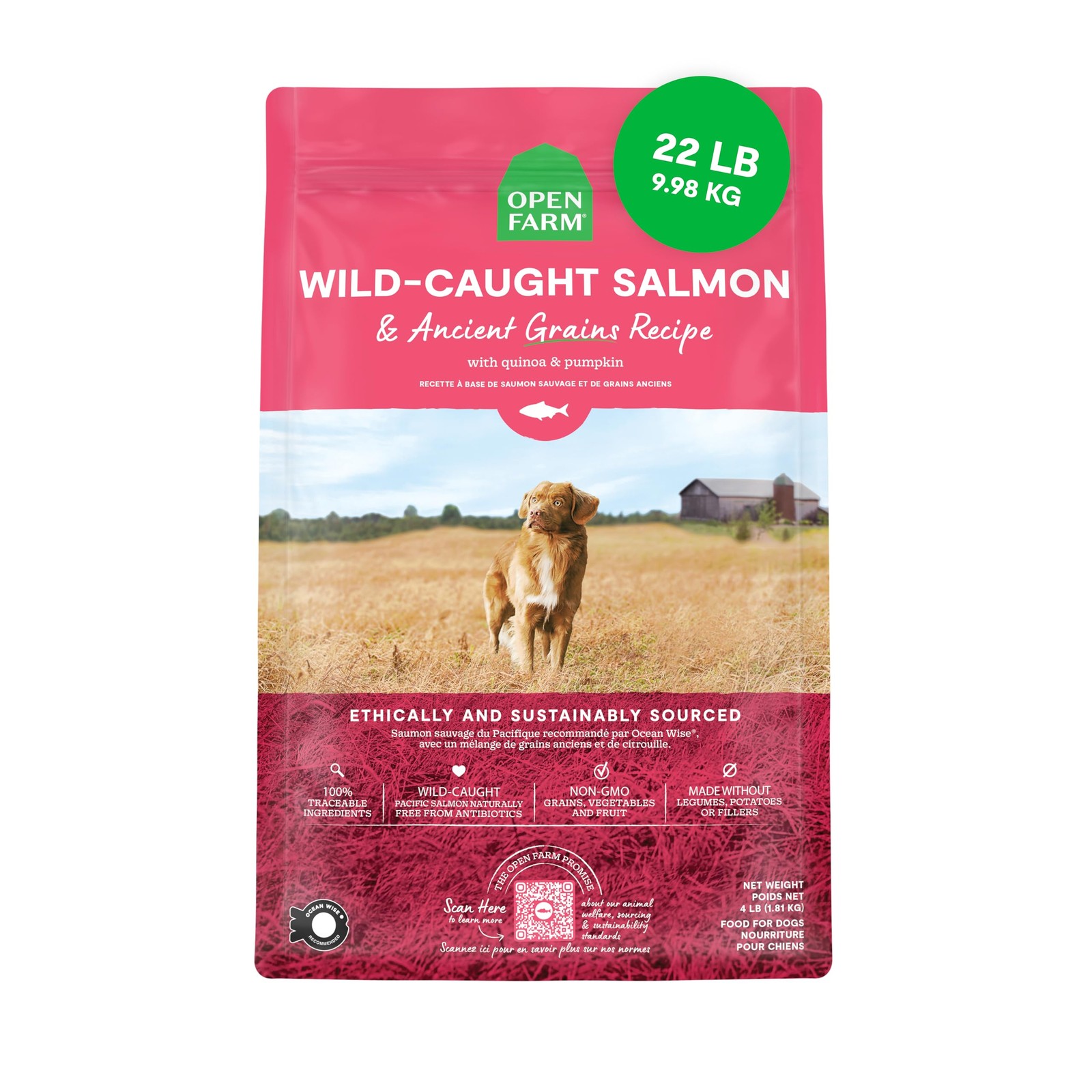 , Protein-rich & Nutrient Dense, 90% Animal Prot...