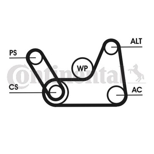 Continental Ctam 6PK1019 Elast T1 Keilrippenriemen Satz FüR Ford, Mazda-image