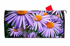 Daisy 1 Vinyl Magnetic Mailbox Cover Made in the USA