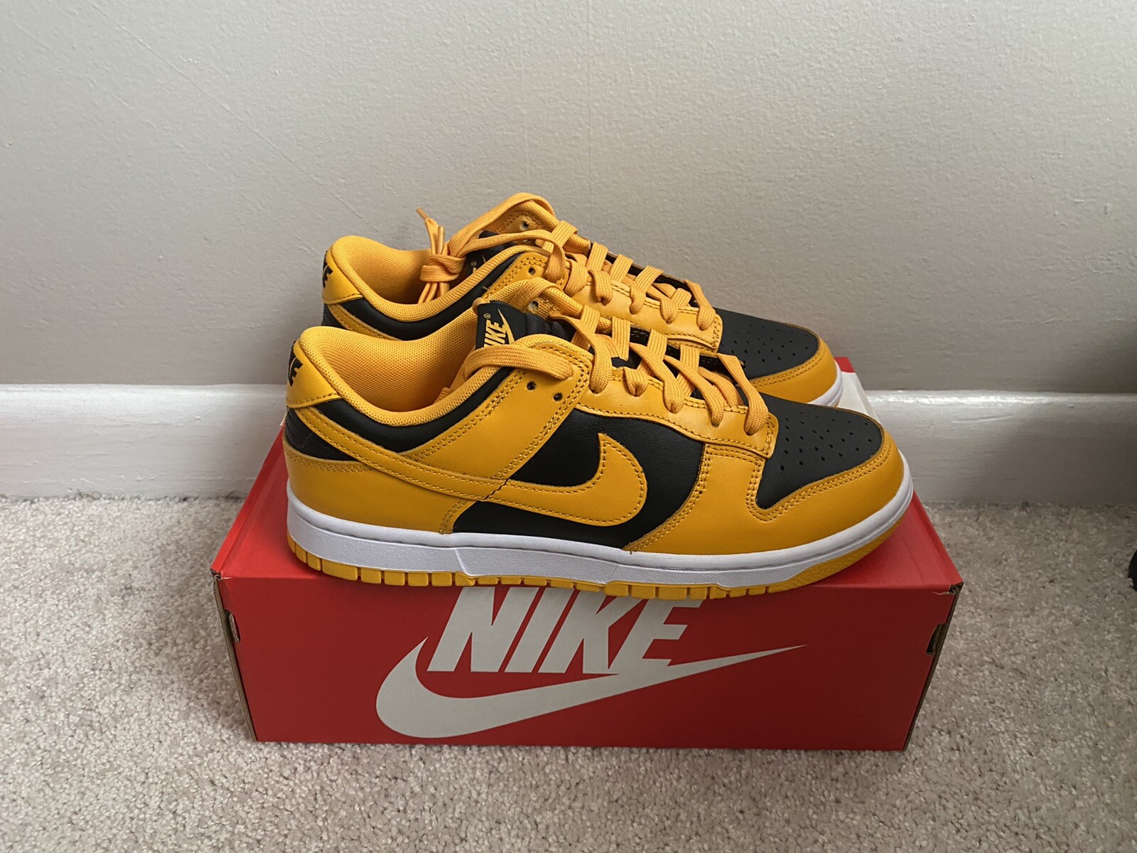 Dunk Nike Low 24 5 Goldenrod Championship スニーカー 激安本物 Razberi Net