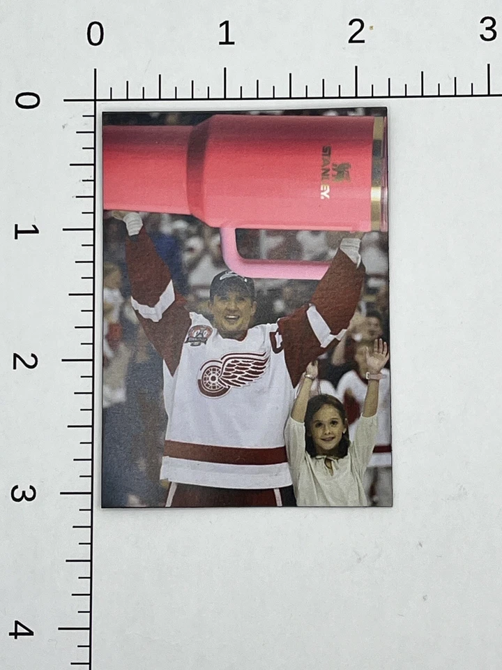 底特律红翼斯坦利杯冠军 3 英寸 x 2 英寸磁铁 Meme Joke Steve Yzerman — 第 4/4 张图片