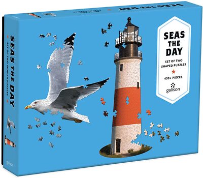 NEU BOX Galison SEAS THE DAY 2 in 1 geformtes 450-teiliges PUZZLE