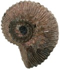 Bild 2 von 2