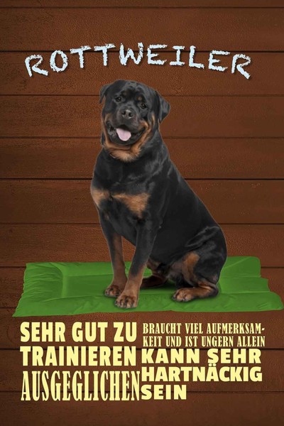 Holzschild 18X12 Cm Rottweiler Hund Ungern Allein Tier Haustier Deko Geschenk Ho-image