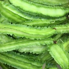 5 Winged Bean Seeds