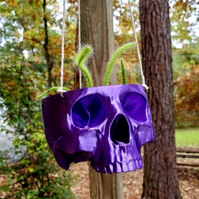 Large Gothic Hanging Skull Planter