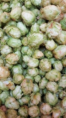 Organic Cascade Hops -Dried
