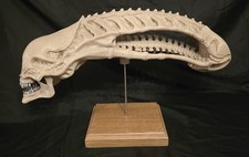 Alien Xenomorph Skull