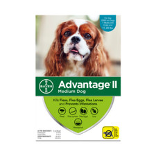 Advantage II For Medium Dogs 11-20 lbs, 6 Pack TEAL