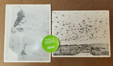 Set of 2 US ARMY Paratroopers Photos from World War II WWII - 8 'x10" - Soldiers