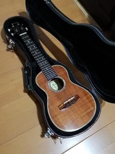 Mahogany Ukulele with Case 14 Fret ALULU UKC Model Good Condition