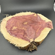 X LG Red Cedar Wood Turning Blank Cookie Live Edge Base 9  X 9.5  X 1.5   1C   