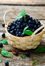 60mL Rockindrops Blueberry Pomegranate Food Flavoring Concentrate