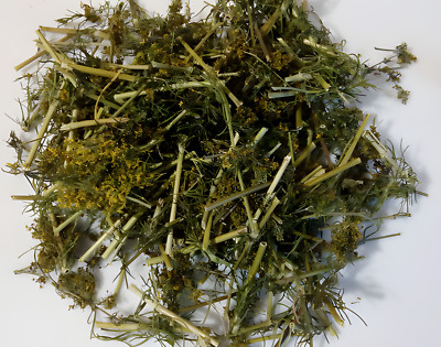Cleavers ( Galium aparine ) ORGANIC from Carpathian mountain.