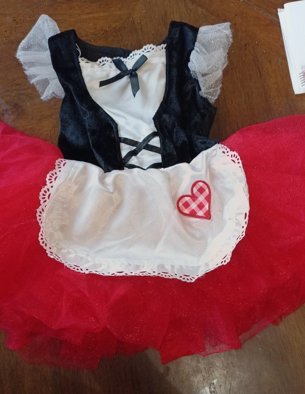 little girl dresses size 3-4T  ( 2 dresses)