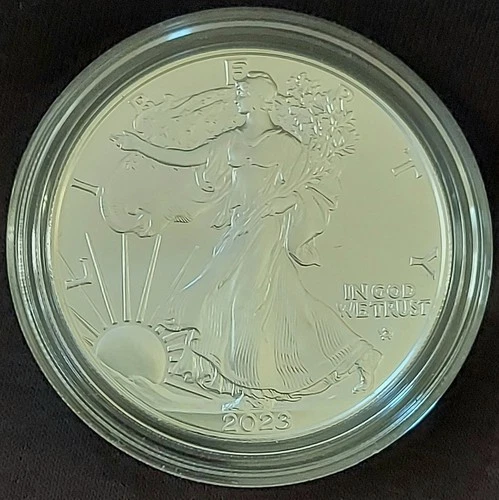 2023-W AMERICAN  SILVER EAGLE $1 UNC 'BURNISHED' .999 Fine 1oz Coin (21EGN)