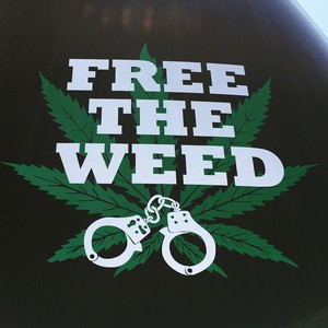 Free The Weed Car Window Decal Stickers Marijuana Bud Funny Dope Mary Jane  | eBay