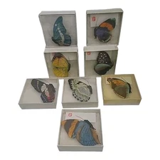 Vintage Hand Painted Faux Butterflies Paper Clip On Set Of 8 1950s Arts Crafts 