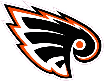 (NOT A PATCH) Philadelphia Flyers Hockey HTV Heat Transfer Vinyl Iron On